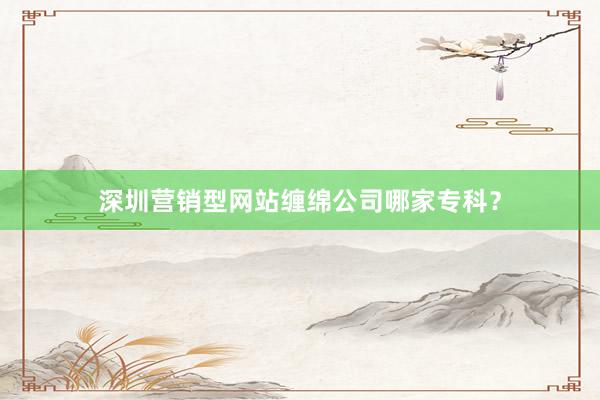 深圳营销型网站缠绵公司哪家专科？