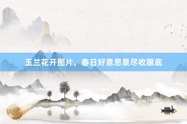 玉兰花开图片，春日好意思景尽收眼底